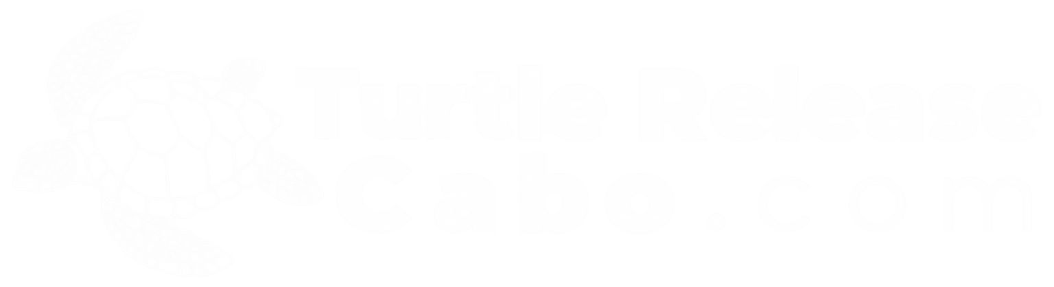 Turtle Release Cabo.com